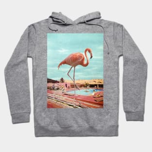 Flamingo on Holiday Hoodie